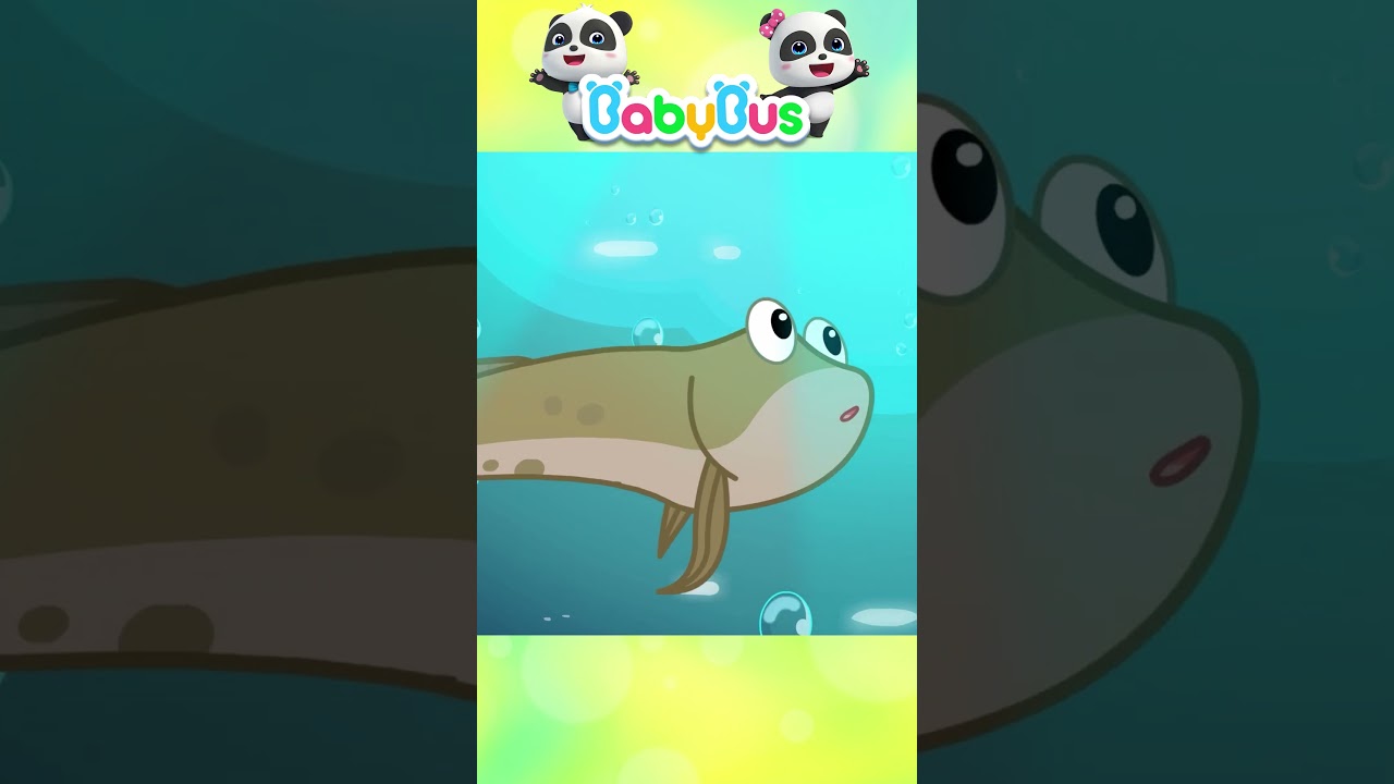 The Amazing Lungfish #sherifflabrador #shorts
