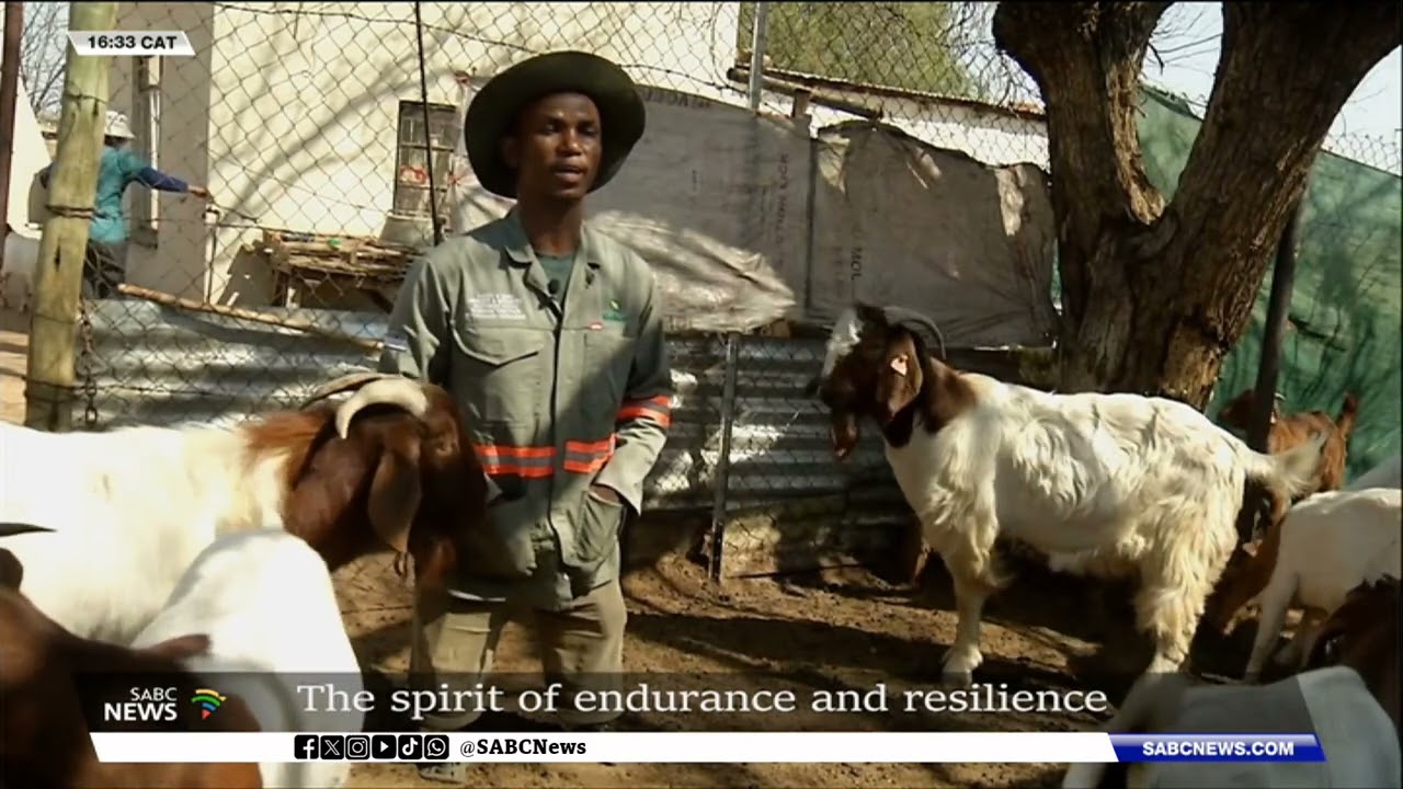 North West farmer living with disabilities thrive despite challenges