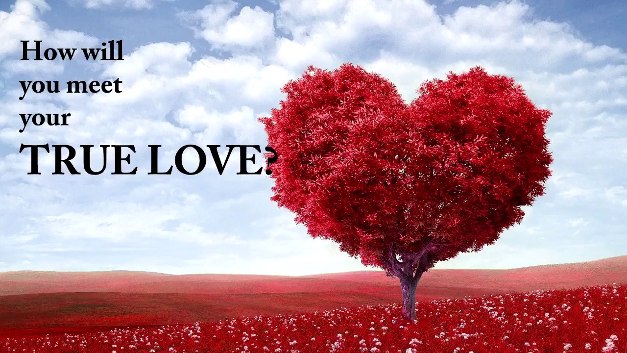 WHEN WILL YOU MEET THE LOVE OF YOUR LIFE? Love Personality Test | Mister Test |