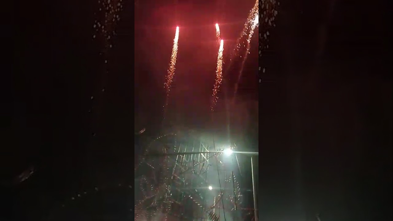 Tlapacoyan virgen de la Asunción 2025