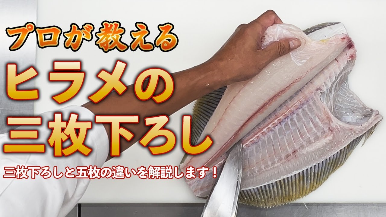 ［初級〜中級向け］プロが教えるヒラメ三枚下ろし｜五枚より難しい理由　#ヒラメ #平目 #ヒラメ三枚下ろし #三枚下ろし #魚の捌き方#魚捌き #板前 #和食職人 #五枚下ろし#料理動画 #プロの技