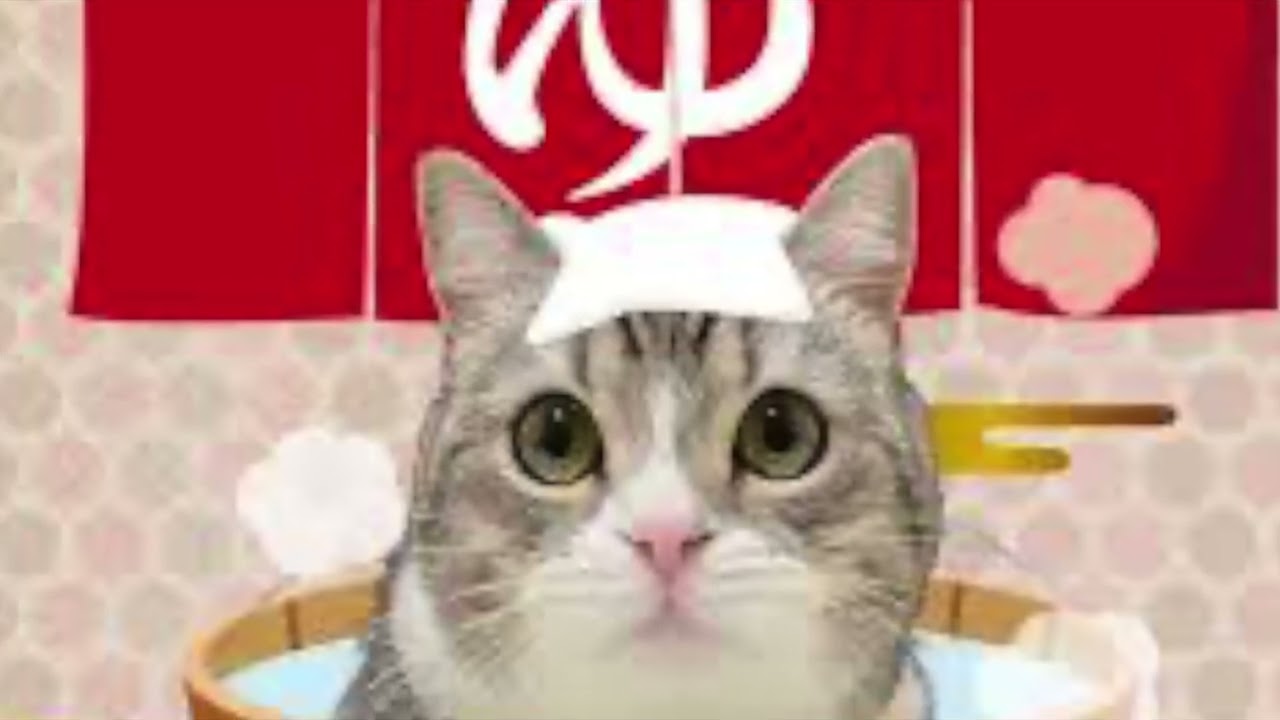 もちまる日記 II