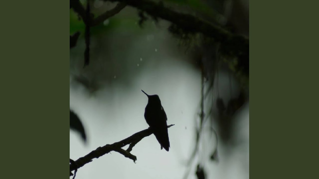 Let Me Take You There