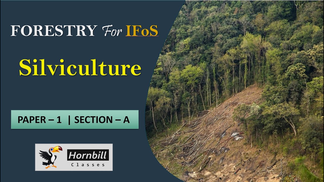 IFoS 2025  | Silviculture (Class 1.1)
