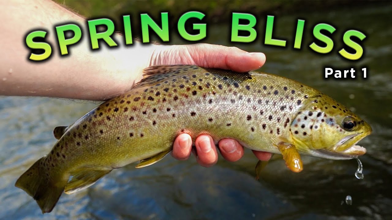 SPRING FLY FISHING BLISS!! Part 1 | Euro Nymphing Wild Brown Trout