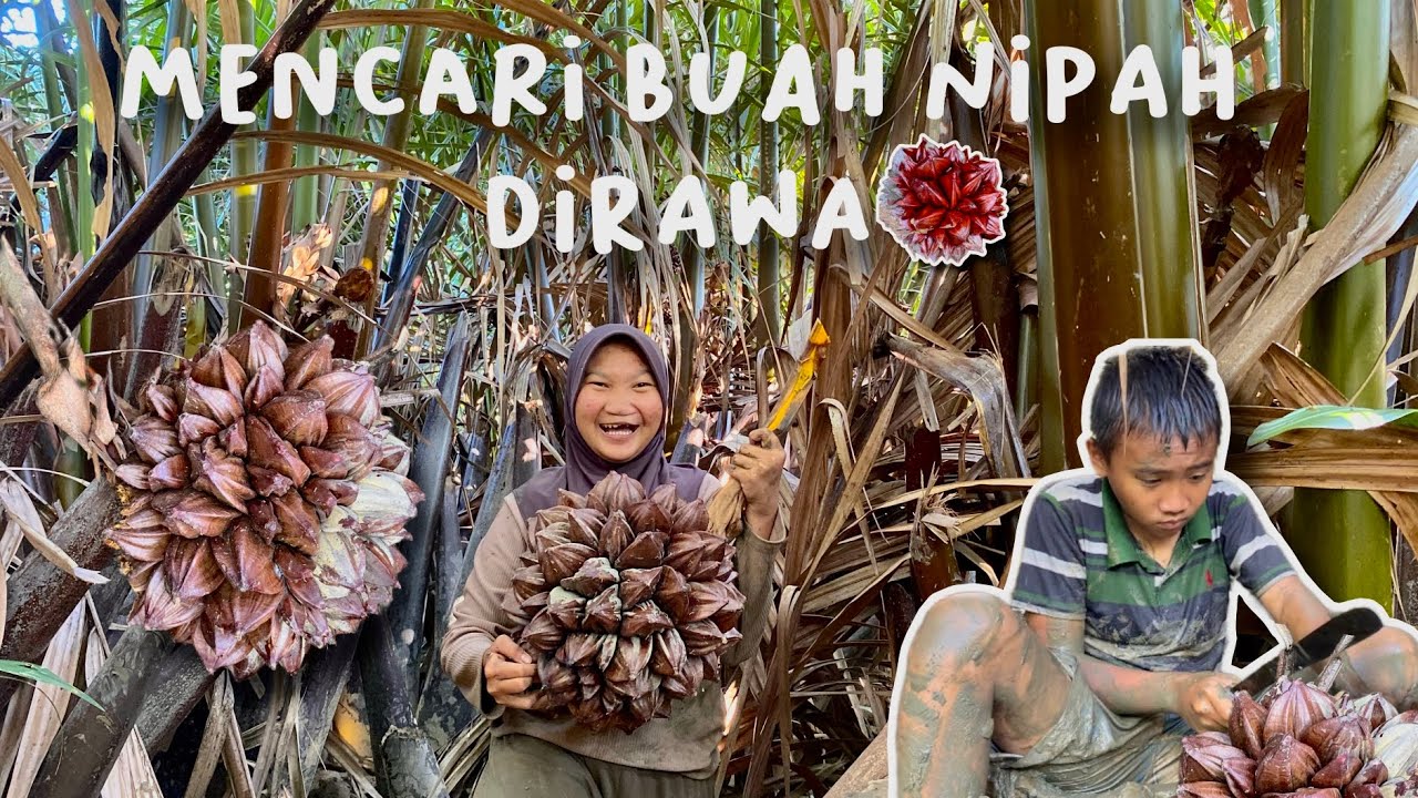 ayok ngebolang sama aku guys 🌴🌴🌴