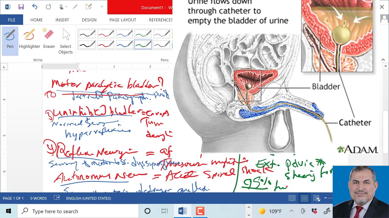 urology  incontinance  ,bladder rupture د عامر الخزاعي