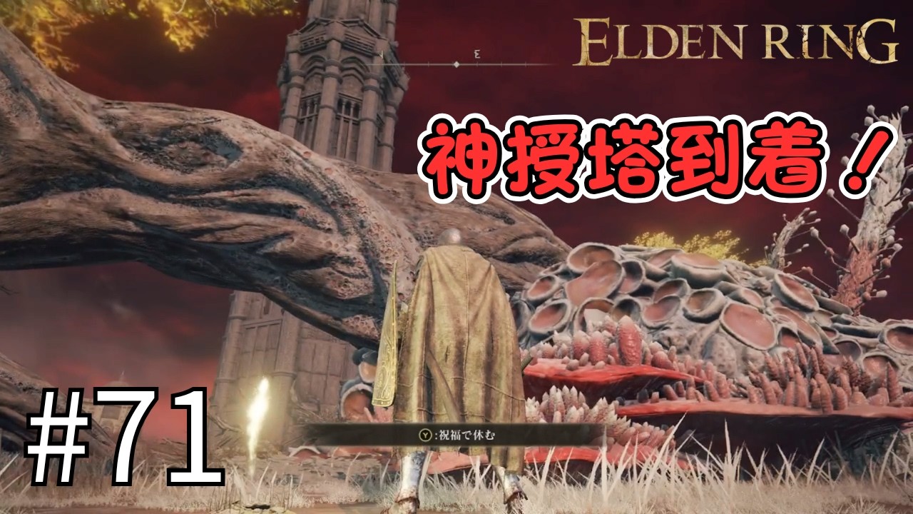 【ELDEN RING #71】とんでもない塔に到着 ～ケイリッドの神授塔～