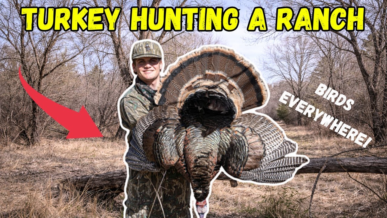 Я отправился на охоту на индеек на ранчо, кишащем насекомыми!