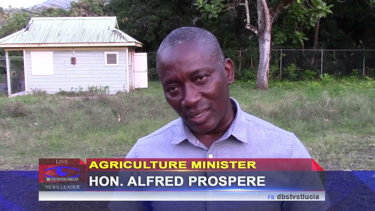 Agric. Minister Tours Babonneau and Meets Farmers