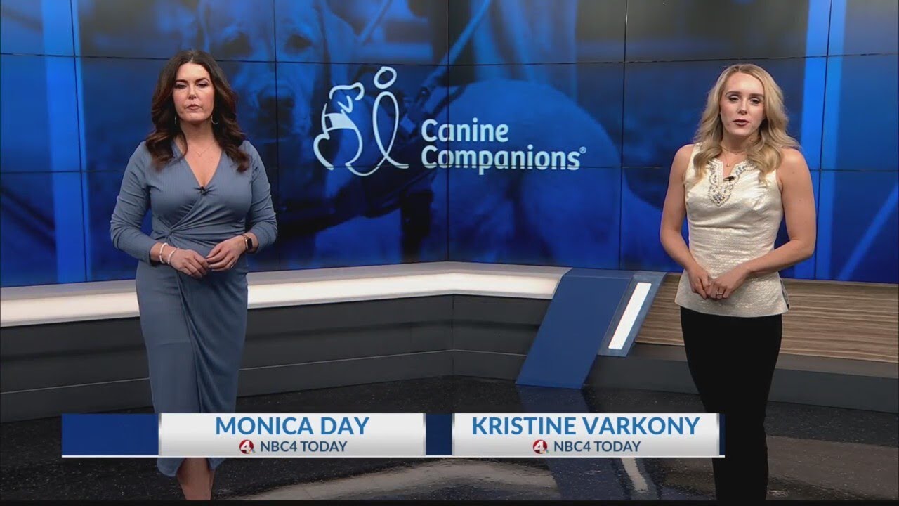 Twinkle the Canine Companions facility dog