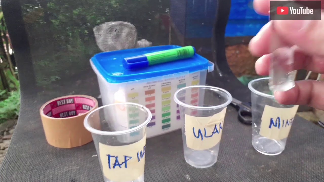 Tap Water, Rain & Mineral Water | Which is SAFE To Use | Discover Our Brief Experiment