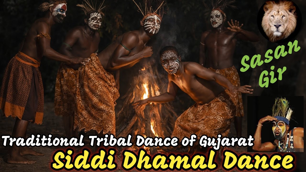 🔥 SIDDI DHAMAL DANCE  Powerful Tribal Dance of Gujarat 🥁 || Sasan gir dhamal dance || #dhamaldance