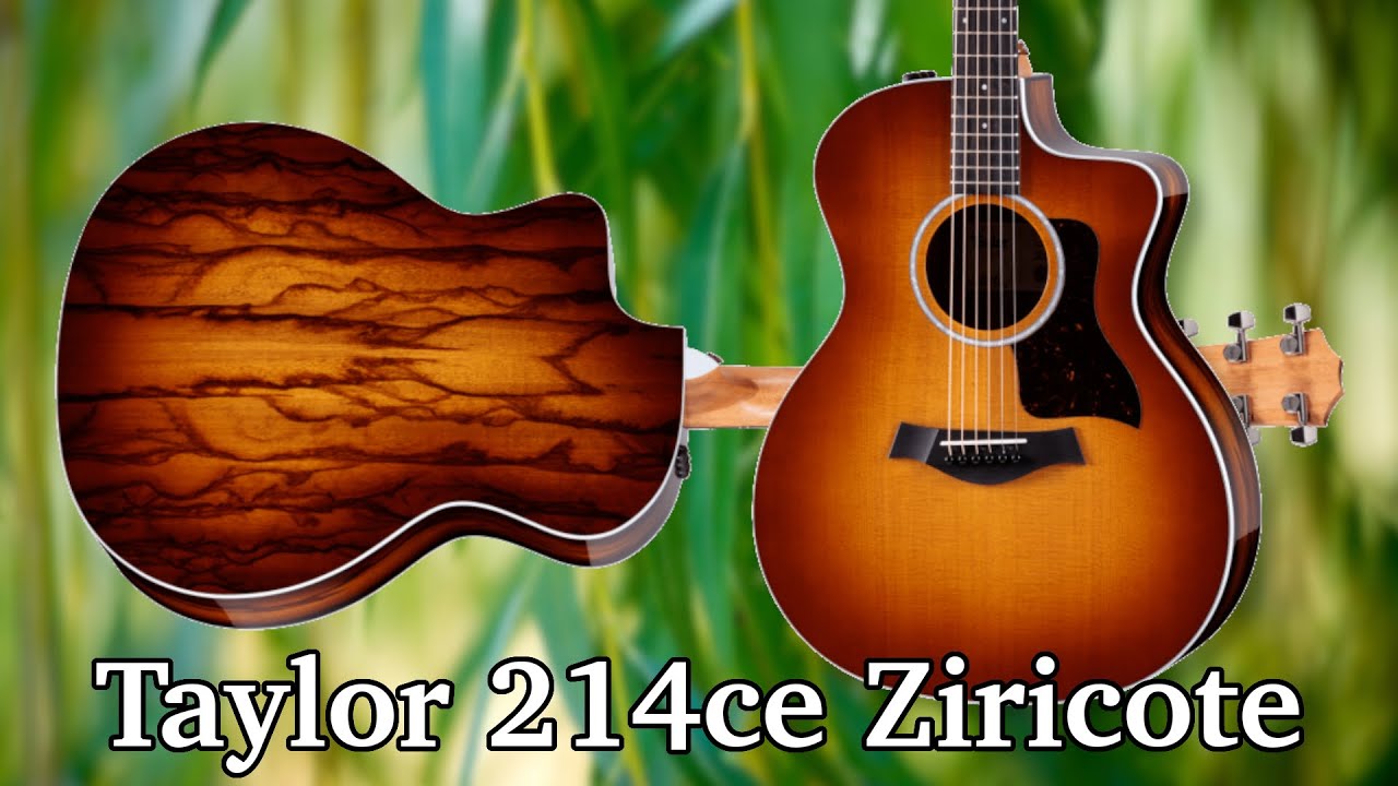 BEAUTIFUL Exotic Wood Acoustic | Taylor 214CE Plus Ziricote Special Edition Demo