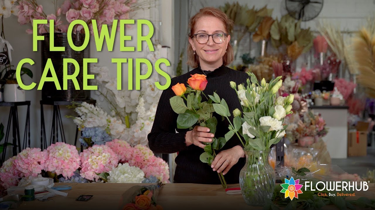 How to Make Fresh Flowers Last Longer? | FLOWERHUB