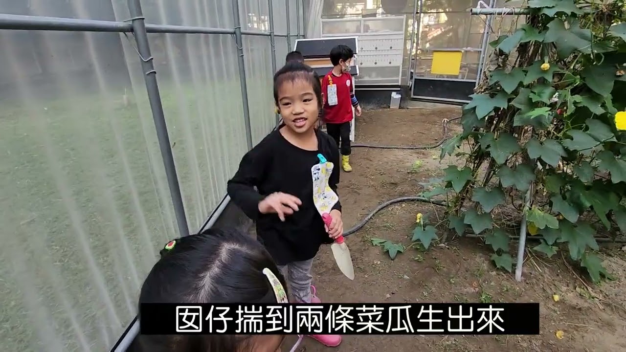 113-例行性菜園版