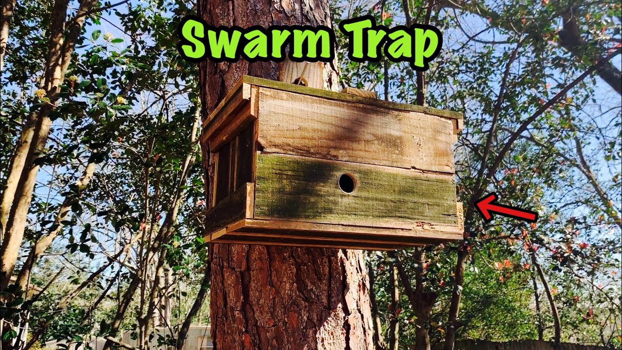 BUILDING a SWARM TRAP/Bait Hive for HONEY BEES from Old Fence PICKETS