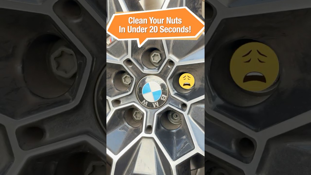 Woollywormit Wheel Brush Cleans Your Nuts in 20 Seconds 