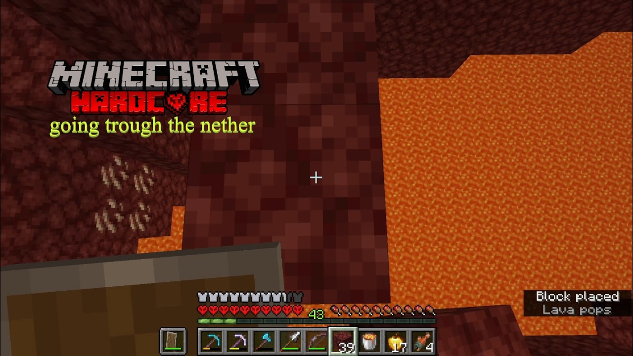 hardcore minecraft stream, I might have took my chances
