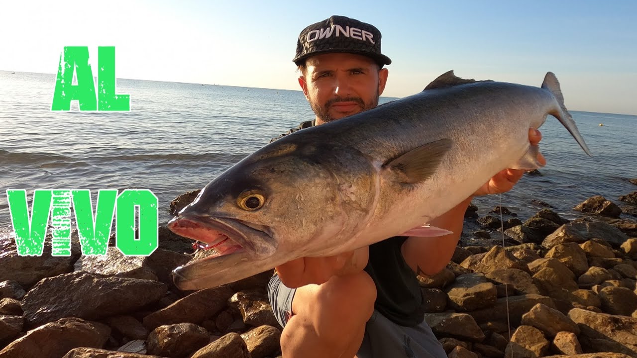 SURFCASTING ANJOVAS en playa💥con LISA VIVA🐟