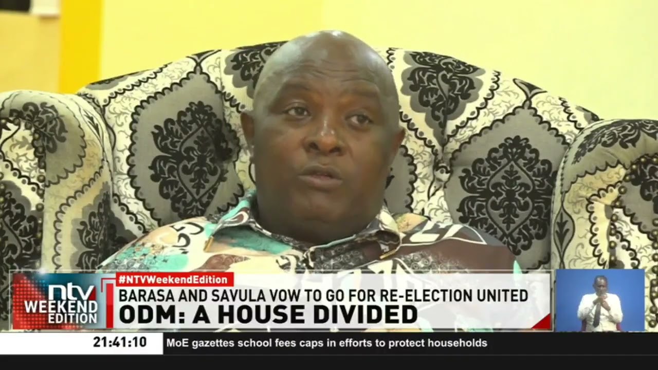 Senator Osotsi claims ODM wrangles are being sponsored by Ruto