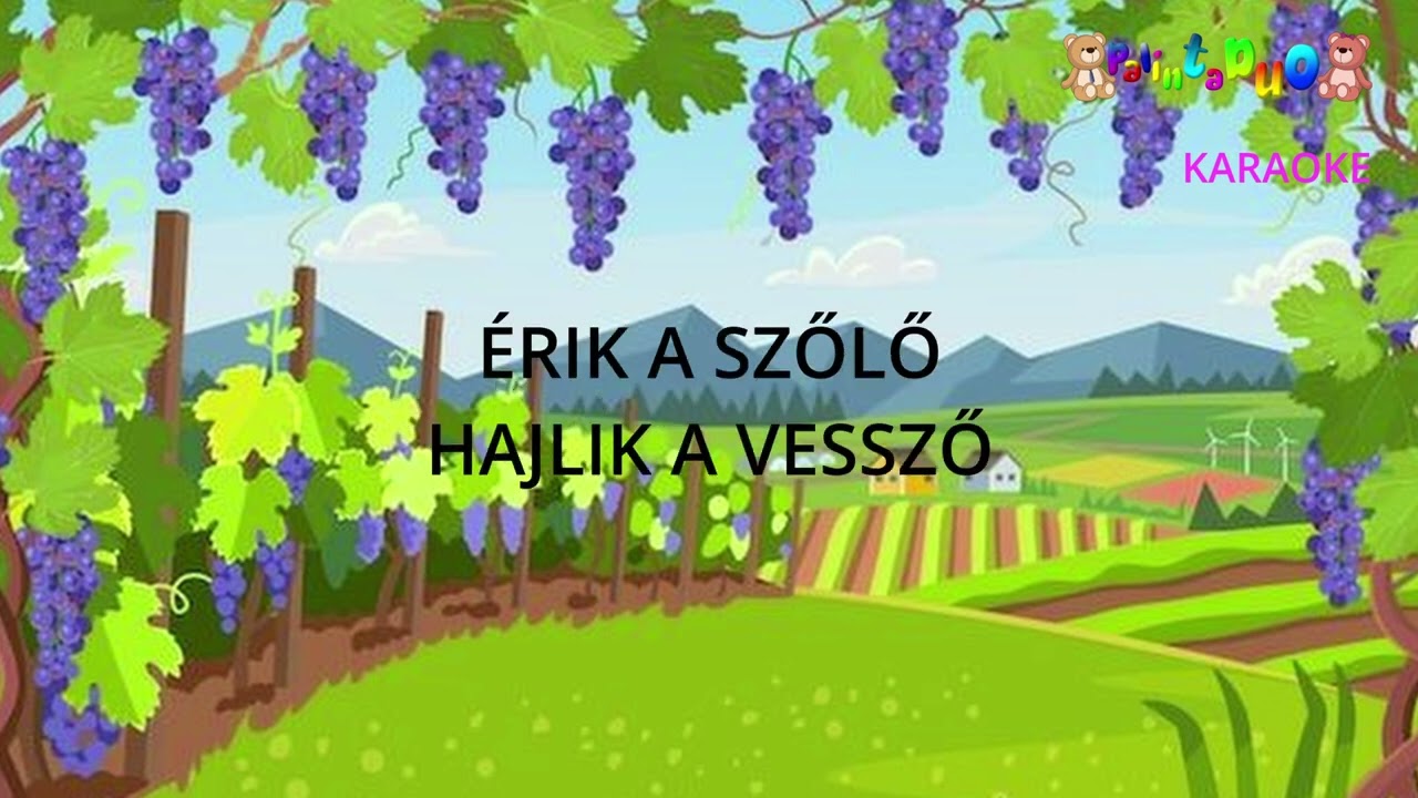 Palinta Duo Érik a szőlő Karaoke