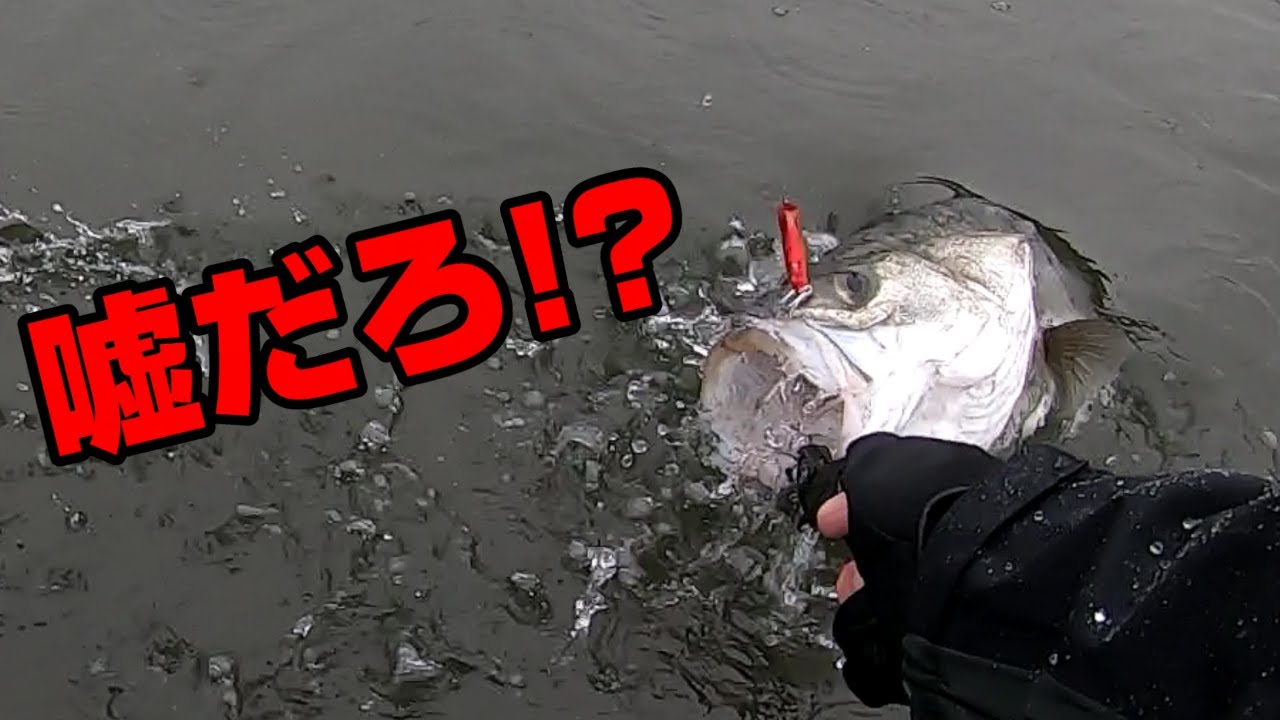 こんな事ある？が連続して震えが止まらなくなった／Megabass Homura86／湘南リバーシーバス
