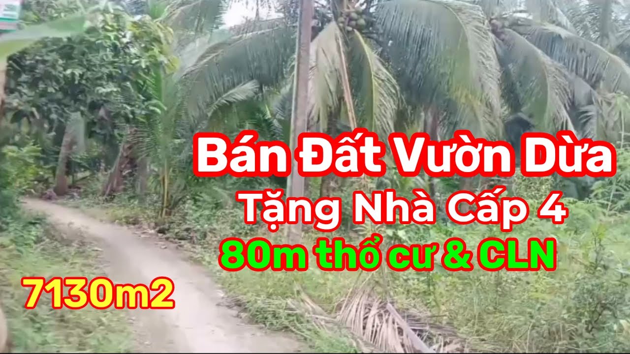 Thành Hiếu Nhà Đất Cầu Kè, Trà Vinh. Bán Đất Vườn Dừa Tặng Nhà Cấp 4. DT 105*65m. Có 80m thổ & CLN
