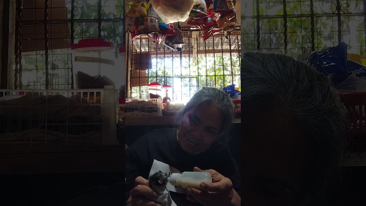  fyp Lola maliit na nilalang tinapon sa harap tindahan ni lola  bee keeping in the Philippines 