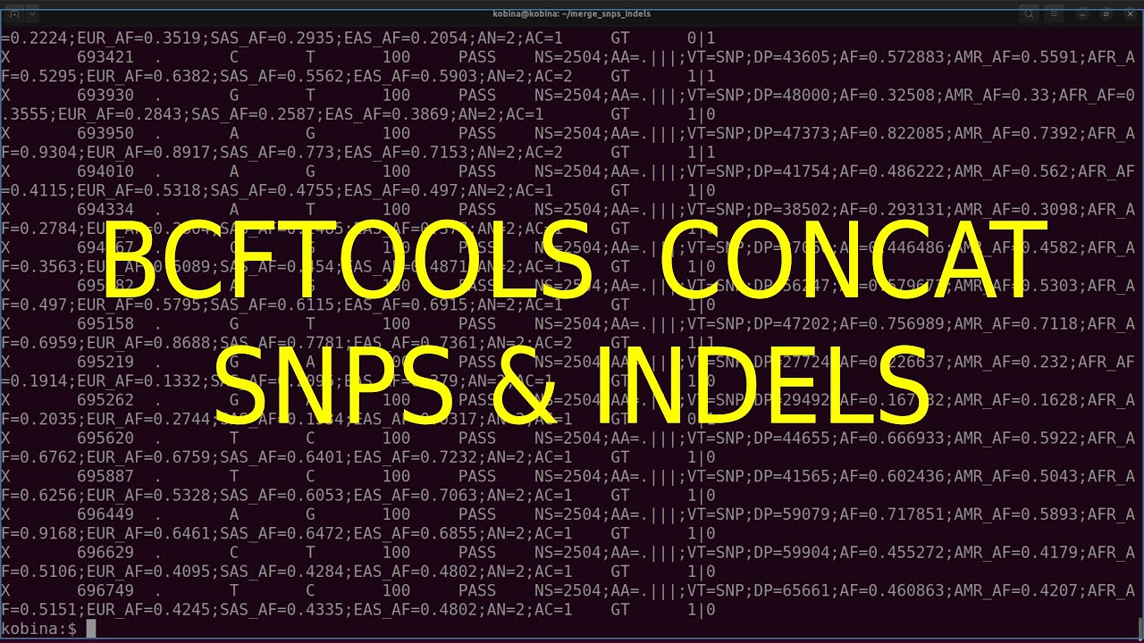 Combine or Merge VCF files |  SNPS and INDELS | Bcftools concat
