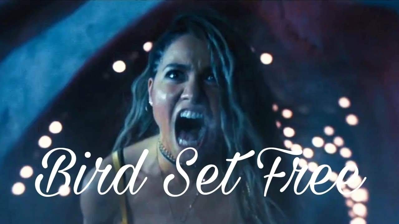 Black Canary | Bird Set Free