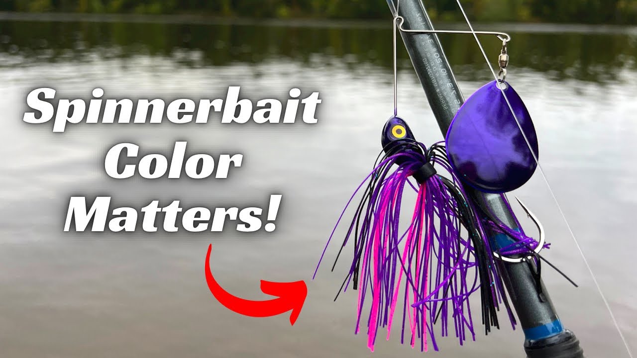 Spinnerbait Color Matters! Make The Right Choice!