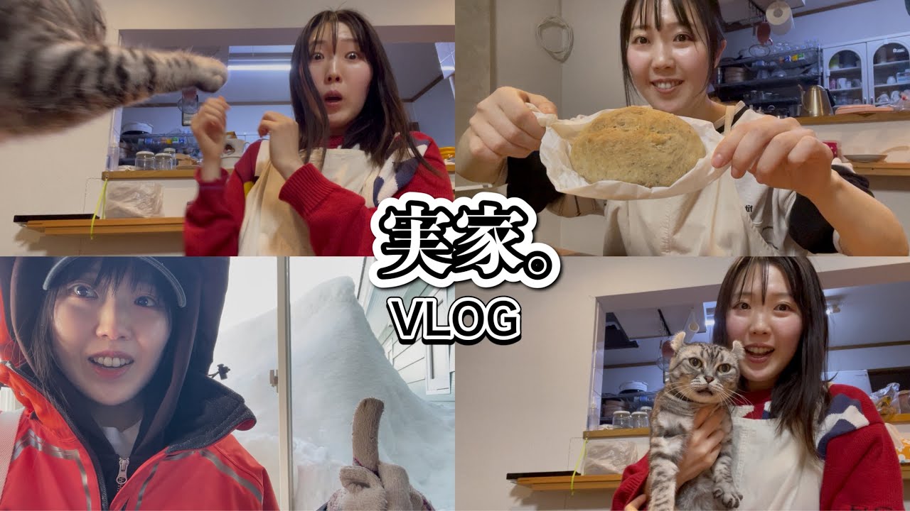 【VLOG】猫って可愛い。Days with Our Cat at My Parents’ House