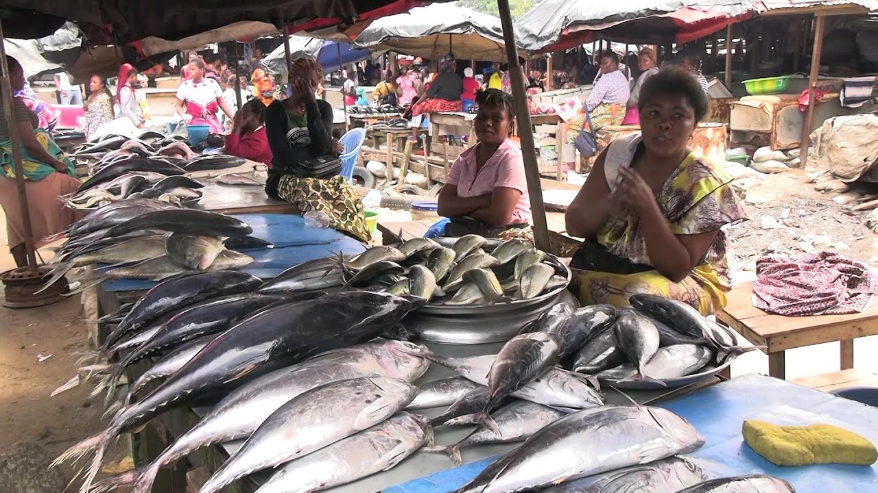 Abobo-Doumé retrouve son effervescence après la réouverture de la pêche