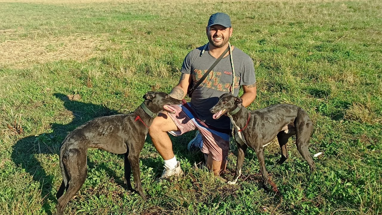 Galgos y liebres 2025 - Amigos galgueros de Villarrica - temporada 2025 parte 1