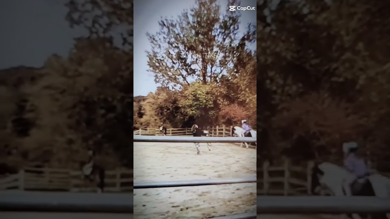 Another Love 💔 🕊 #horseriding #memories #checkers