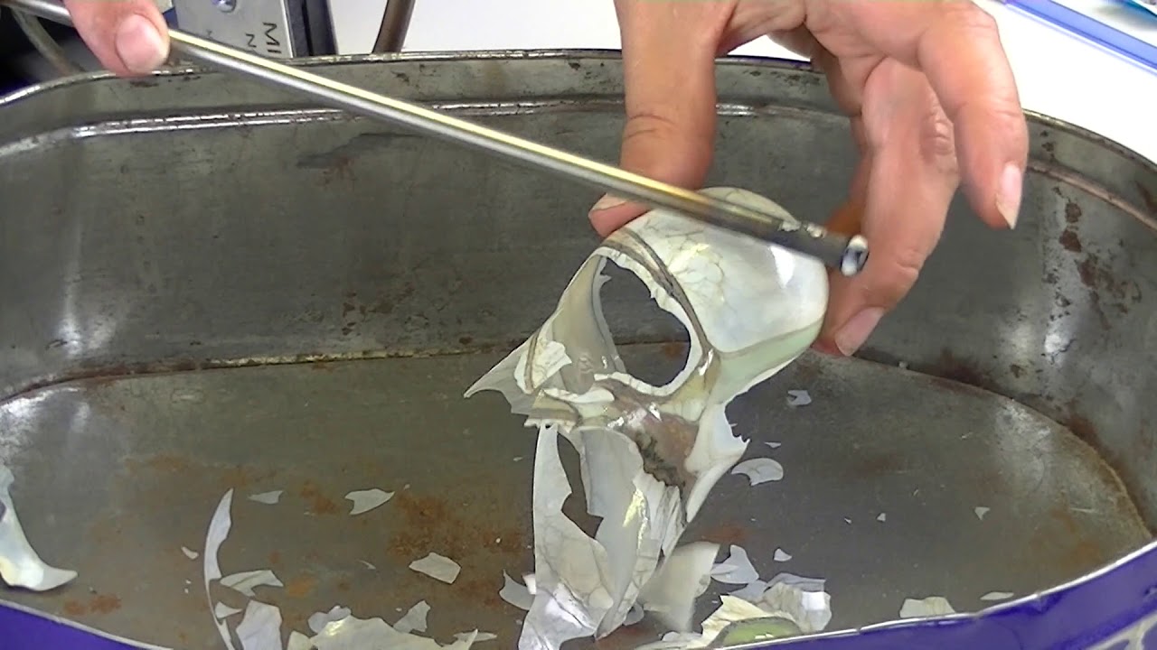 Blowing Shards - Tuffnell Glass