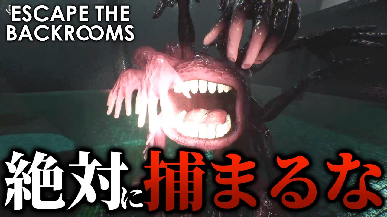 人を食うことしか考えていない化け物がヤバすぎる...【Escape The Backrooms】