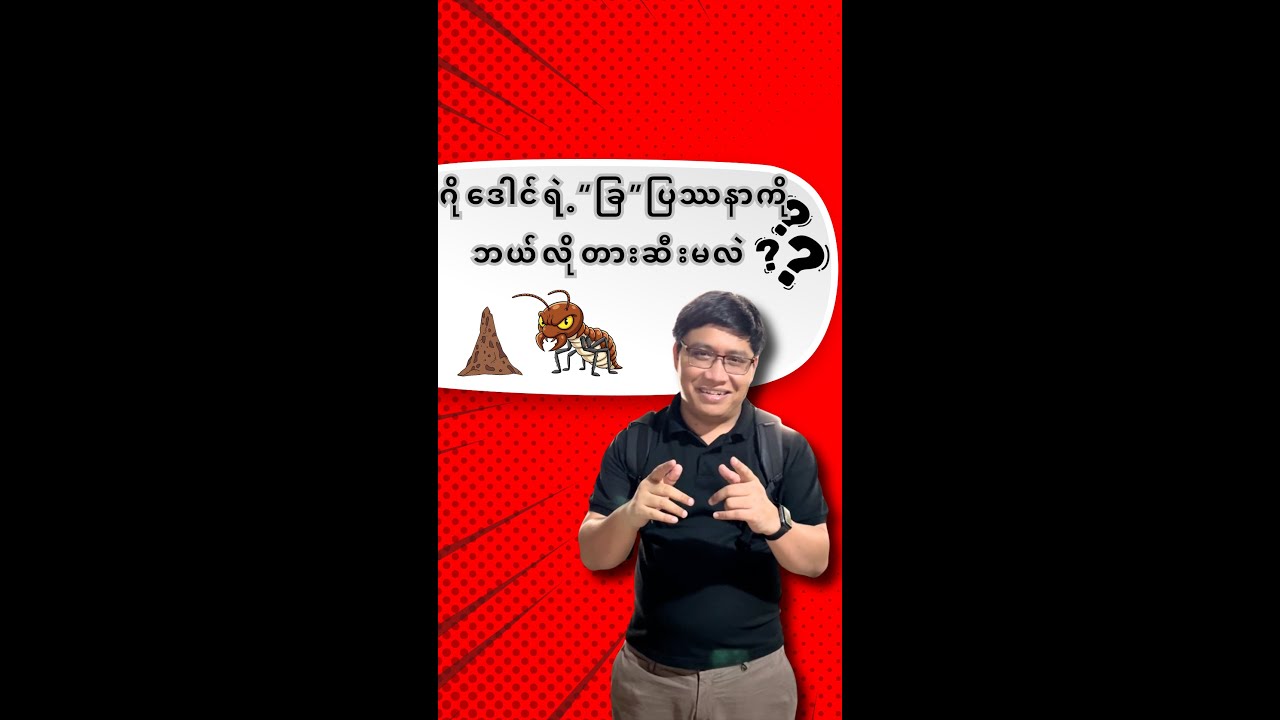 ဂိုဒေါင်မှာ “ခြ” ပြဿနာကိုဖြေရှင်းတဲ့ နည်းလမ်း (4) ခုTermite