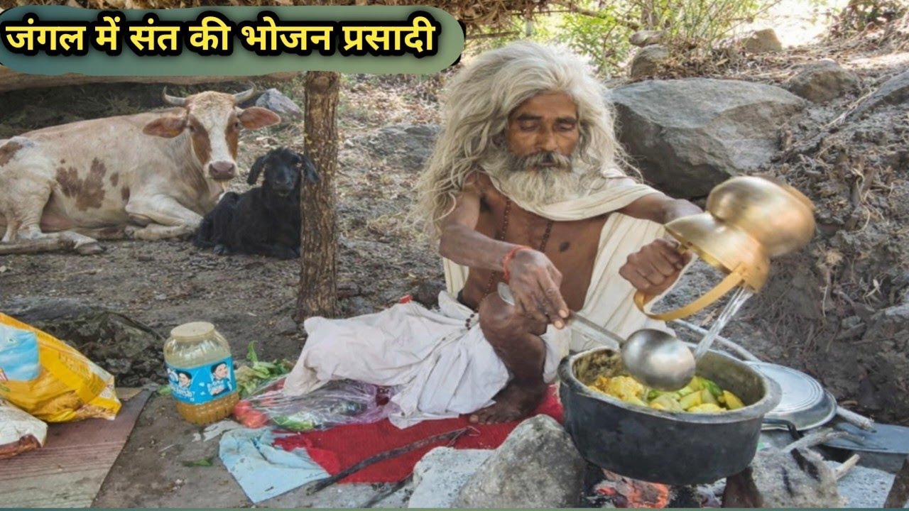 चित्रकूट के जंगल में संत की साहित्यिक भोजन प्रसादी।। चुरा लिया पर्वत वाले संत।।