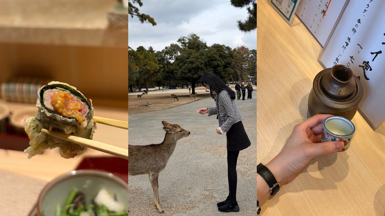 오사카 3박4일 vlog .ᐟ 🦌🌿🍶🍤🍜
