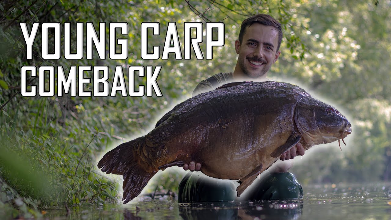 Young Carp COMEBACK - Carp fishing en FRANCIA