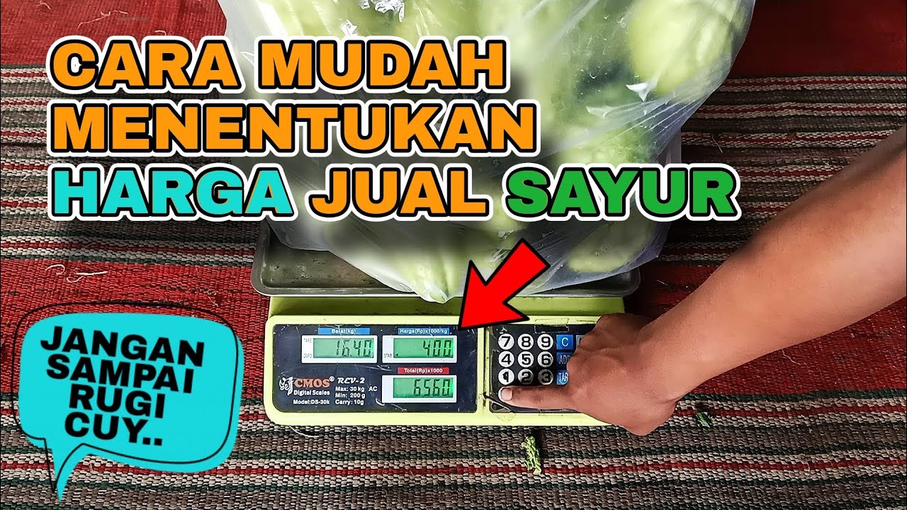 Cara Mudah Menentukan Harga Jual Sayur, Simple..| Pedagang Sayur