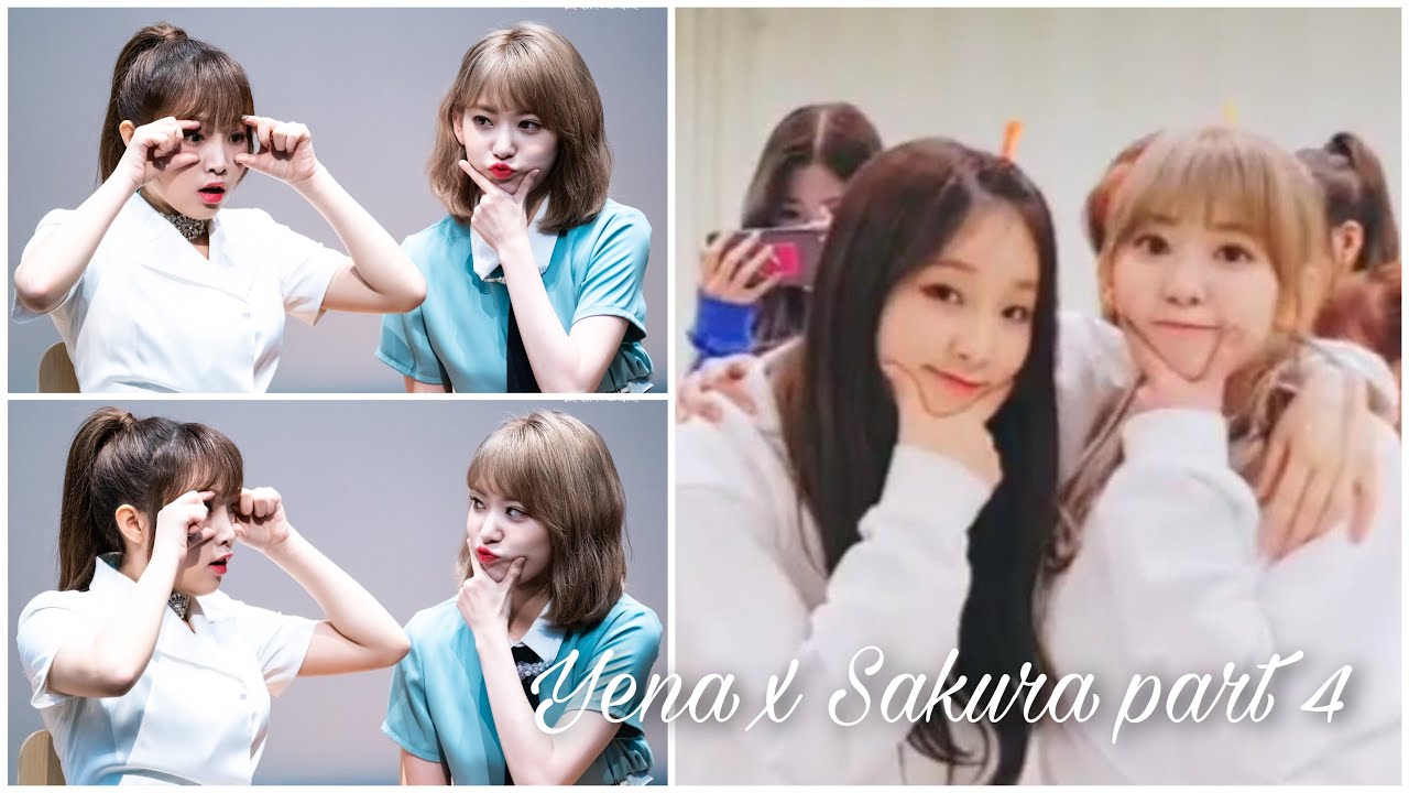 [IZ*ONE - Yena x Sakura] Tom and Jerry Ship Moments - #4