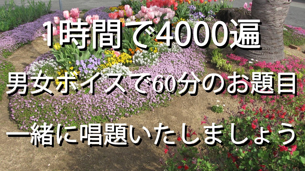 一人唱題もう寂しくない。毎時4000遍　男女ボイスで60分のお題目　一緒に唱題いたしましょう。