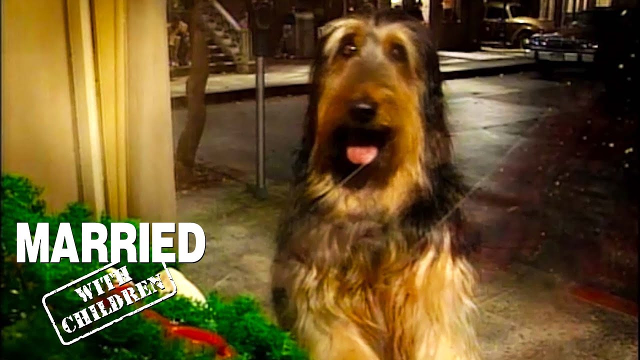 Buck On The Street | Married With Children