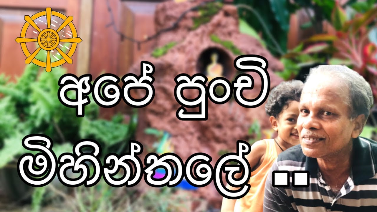 පොසොන් උදාවයි,දහම් අමාවයි...|අපේ පුංචි මිහින්තලේ| 🗻Poson poya day⛰🪅 | Srilankan religious day