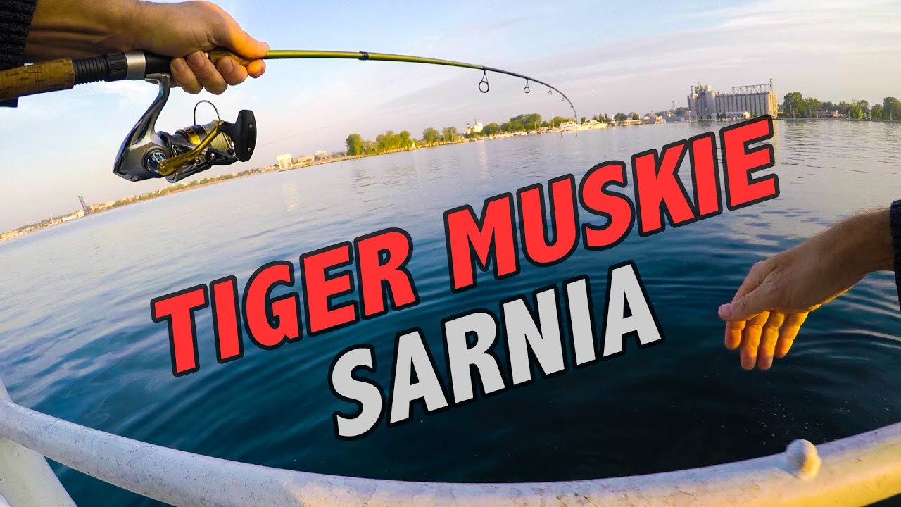Fishing Sarnia, Ontario - (Catching Bass, Muskie, Pike, Walleye,  Pickerel)