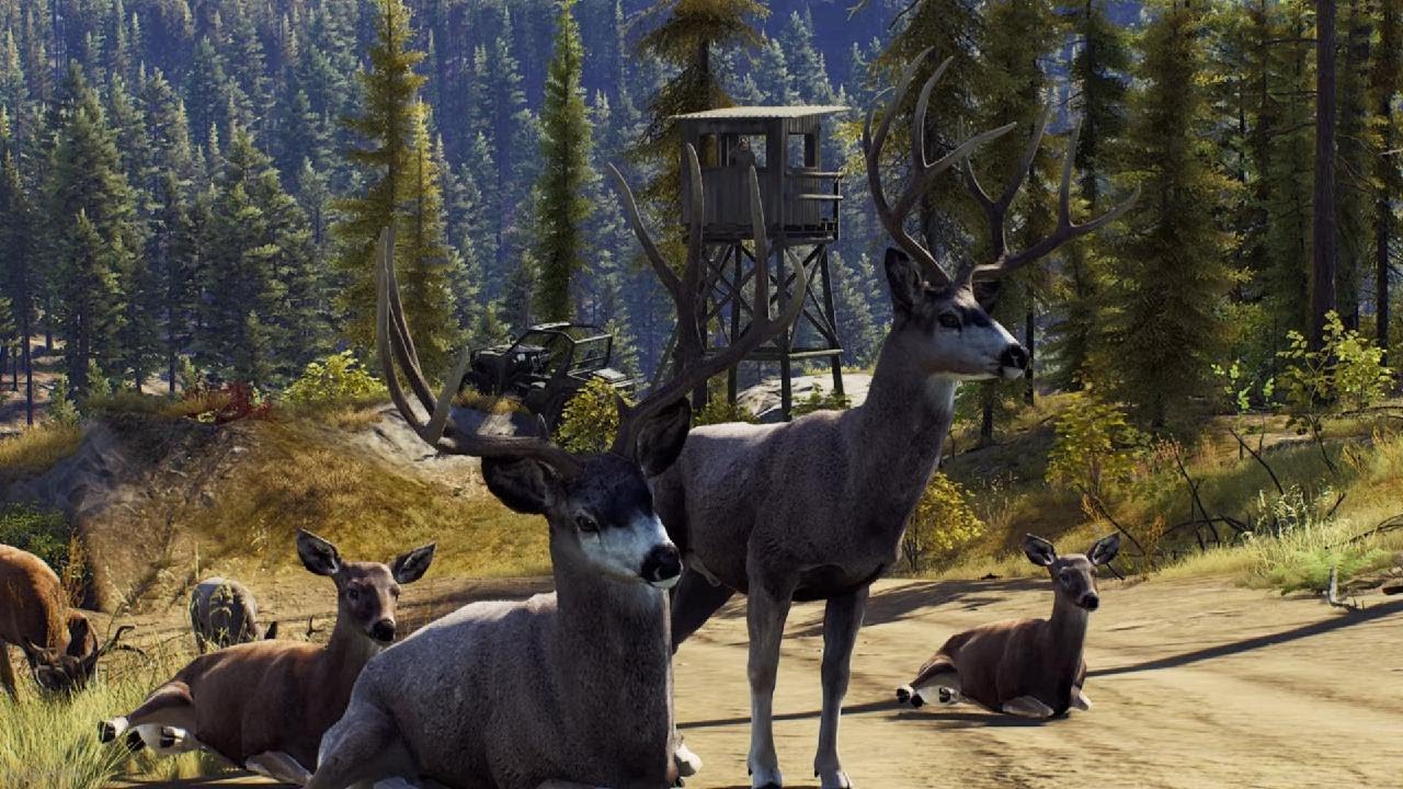 way of the hunter how to use the hunting stand (459.9/500)