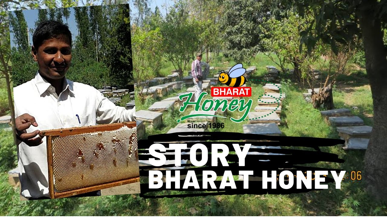 Story of Bharat Honey ( in Hindi ) : How do Honey Bees Make Honey | History of Honey - Bharat Honey